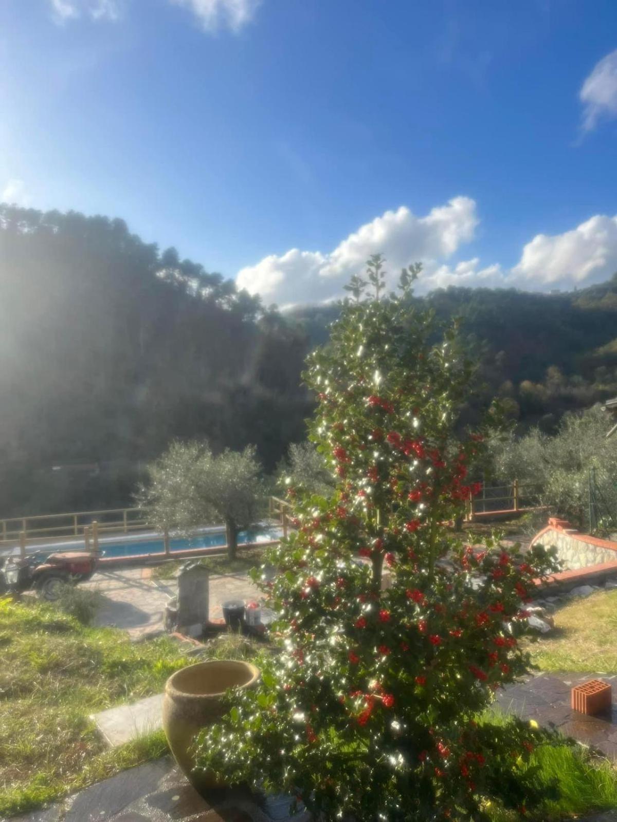Podere Il Glicine Wellness Charme & Relax Fresonara  Екстер'єр фото